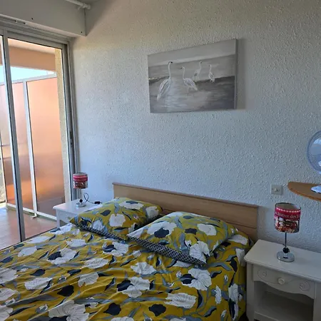 Les Marines Du Soleil Canet-plage Apartamento
