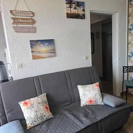 Les Marines Du Soleil Canet-plage Apartment *